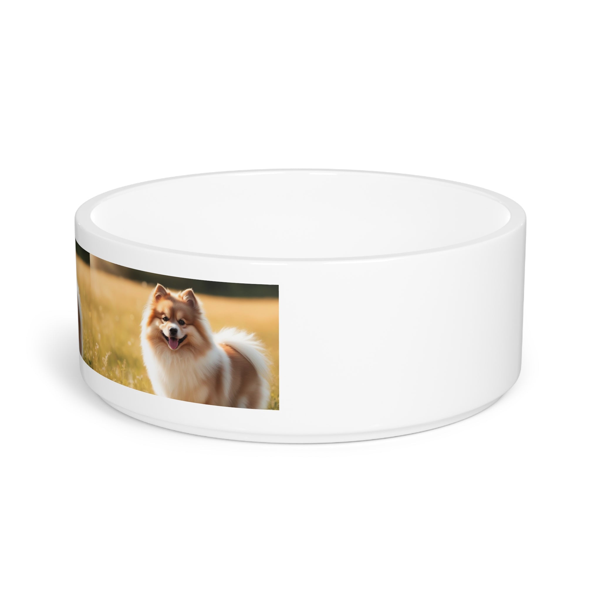 Ceramic Pet Bowl – 16 oz Dog Feeding Bowl