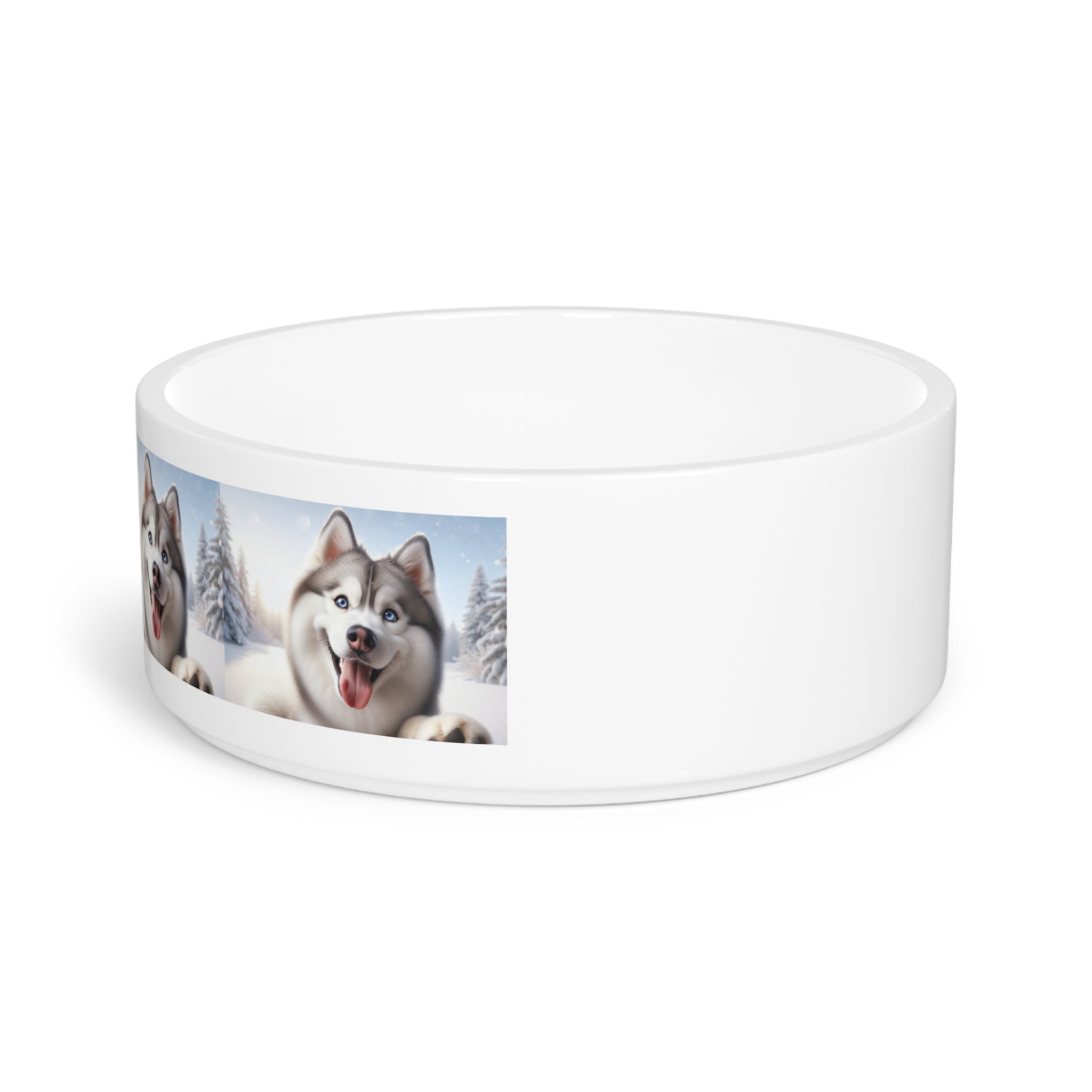 Ceramic Pet Bowl – 16 oz Dog Feeding Bowl