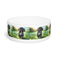 Ceramic Pet Bowl – 16 oz Dog Feeding Bowl