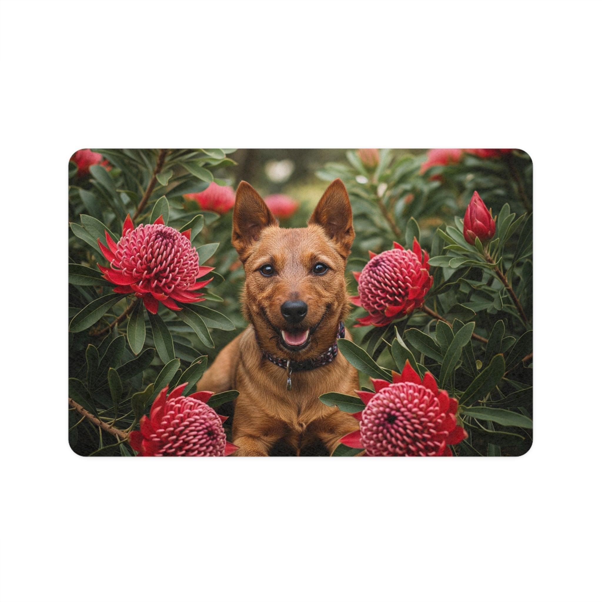 Non-Slip Pet Food Mat – Waterproof Feeding Mat for Dogs