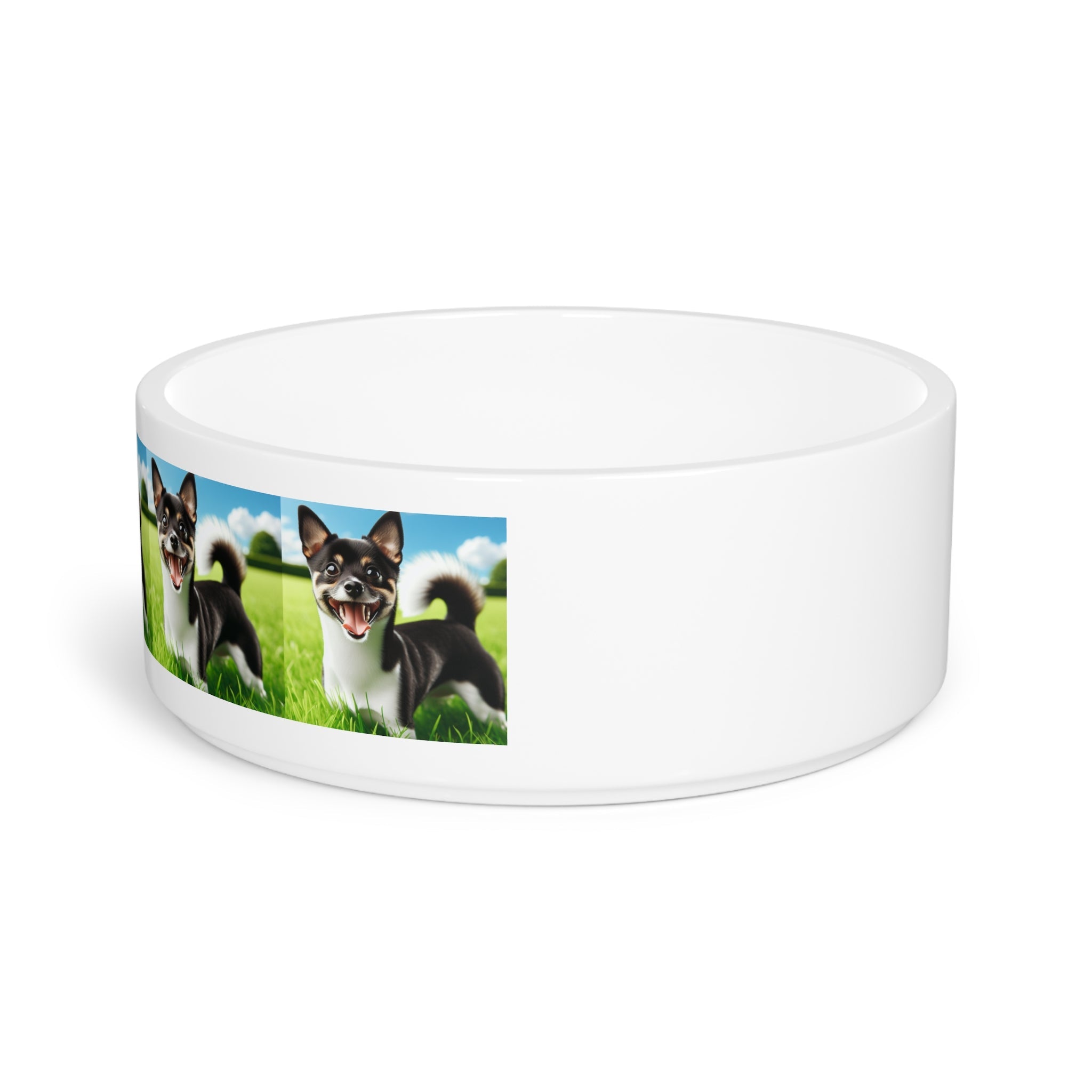Ceramic Pet Bowl – 16 oz Dog Feeding Bowl