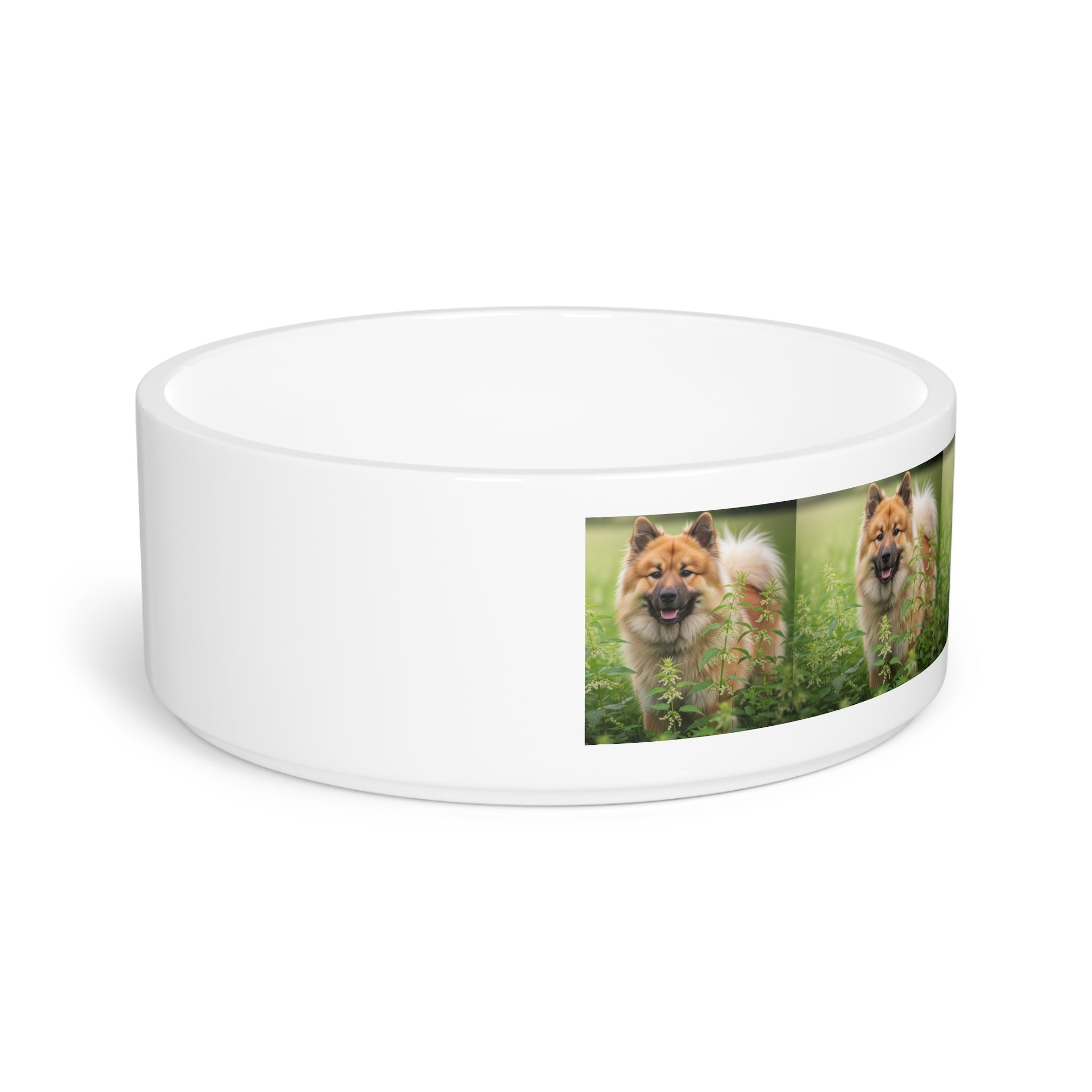 Ceramic Pet Bowl – 16 oz Dog Feeding Bowl
