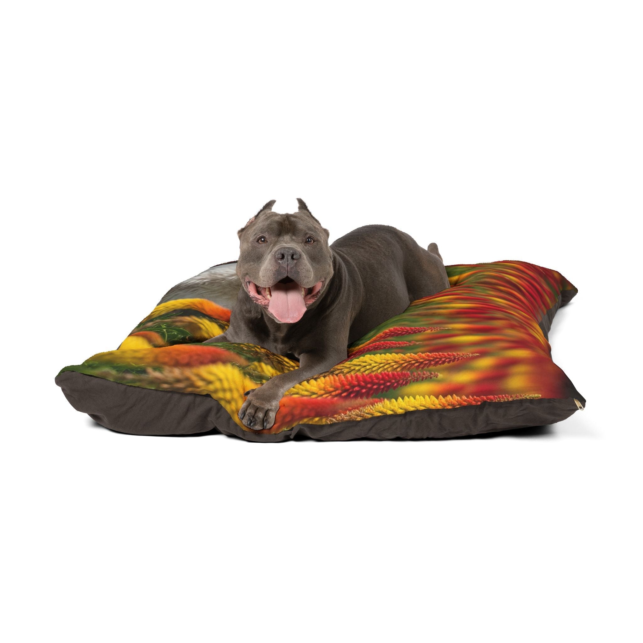 Pet Bed – Plush Dog Bed, 3 Size Options