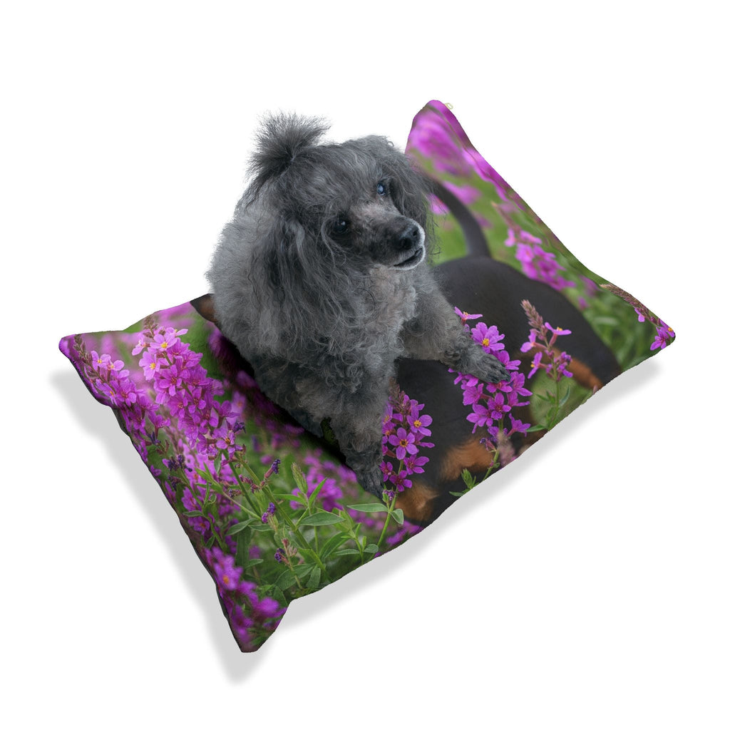 Pet Bed – Plush Dog Bed, 3 Size Options