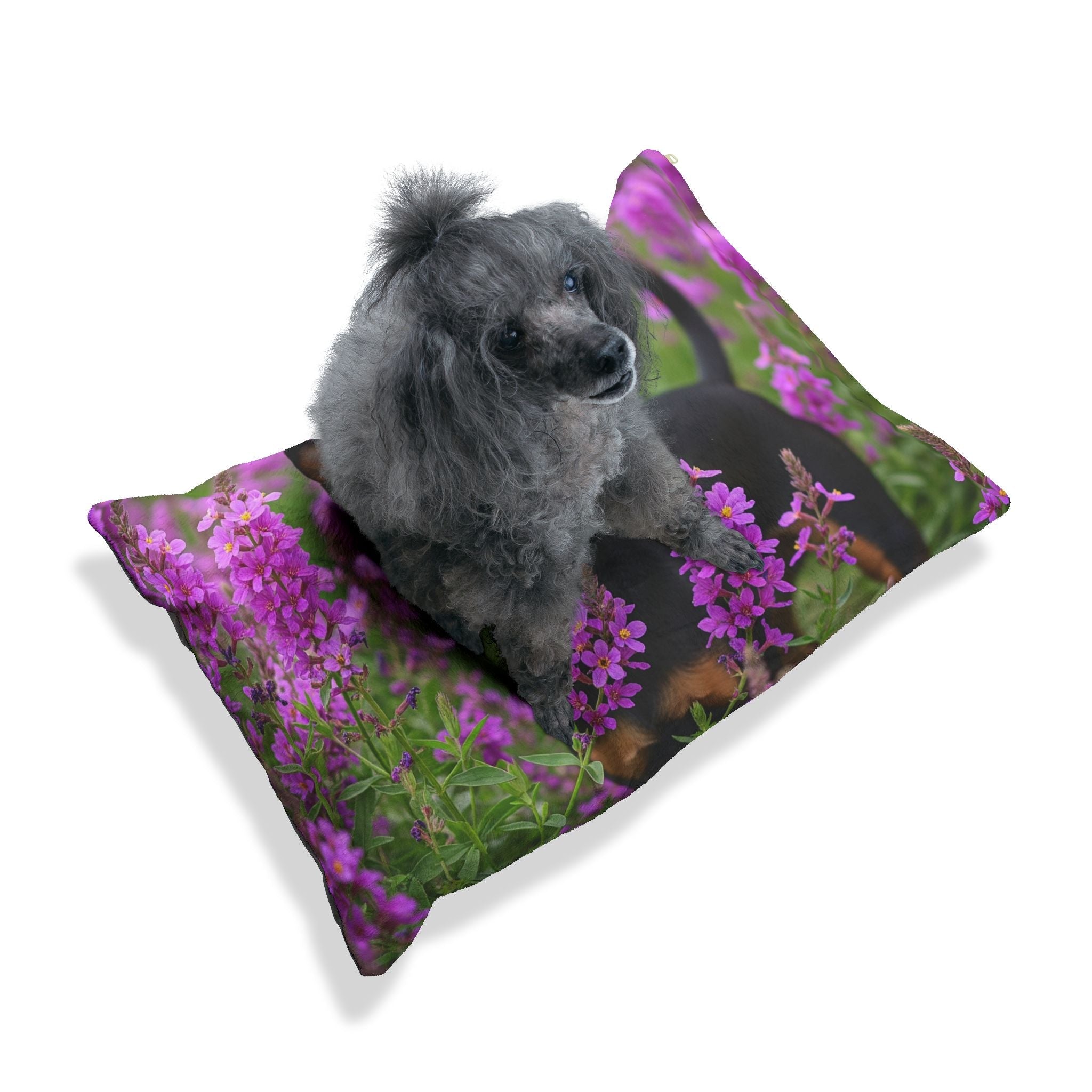 Pet Bed – Plush Dog Bed, 3 Size Options