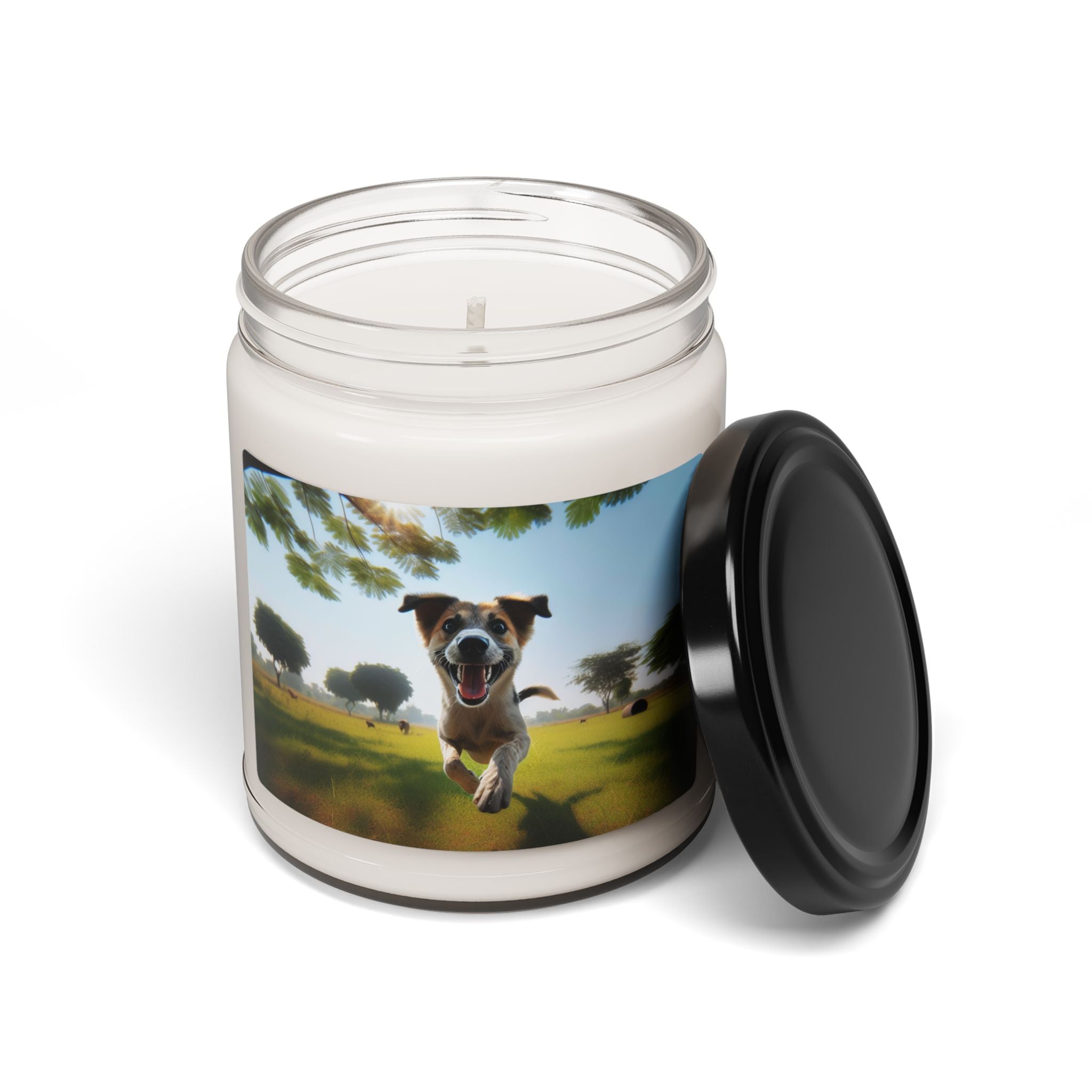 Soy Candle – Scented Jar Candle