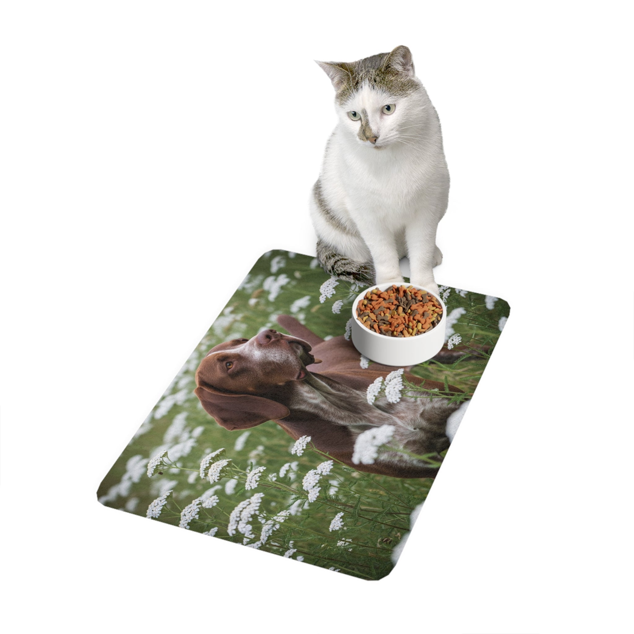 Non-Slip Pet Food Mat – Waterproof Feeding Mat for Dogs