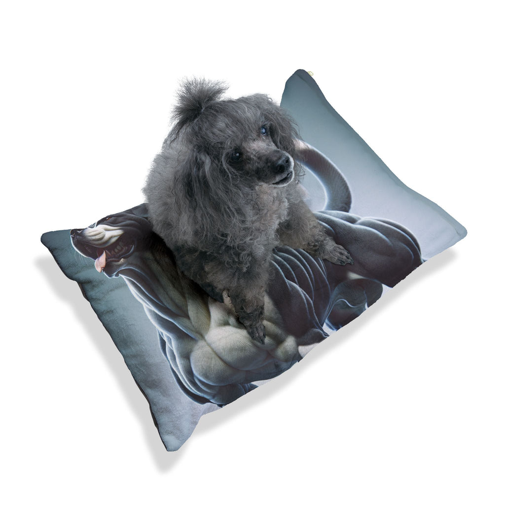 Pet Bed – Plush Dog Bed, 3 Size Options