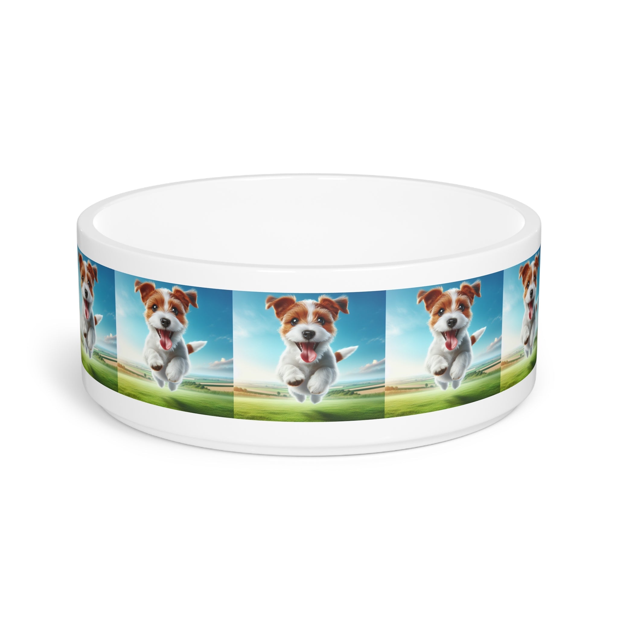 Ceramic Pet Bowl – 16 oz Dog Feeding Bowl