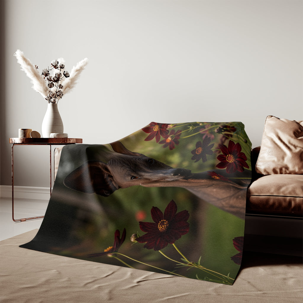 Sweatshirt Blanket – Plush Fleece Throw, 2 Size Options