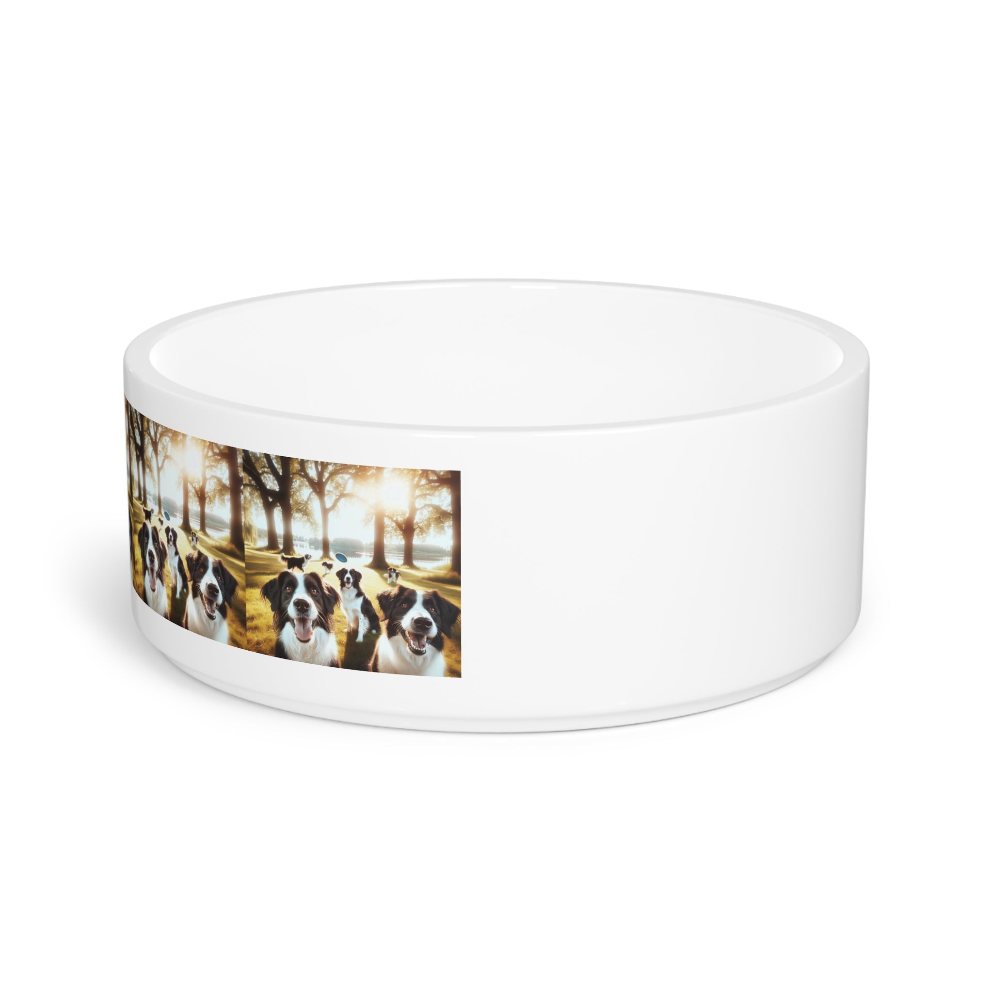 Ceramic Pet Bowl – 16 oz Dog Feeding Bowl