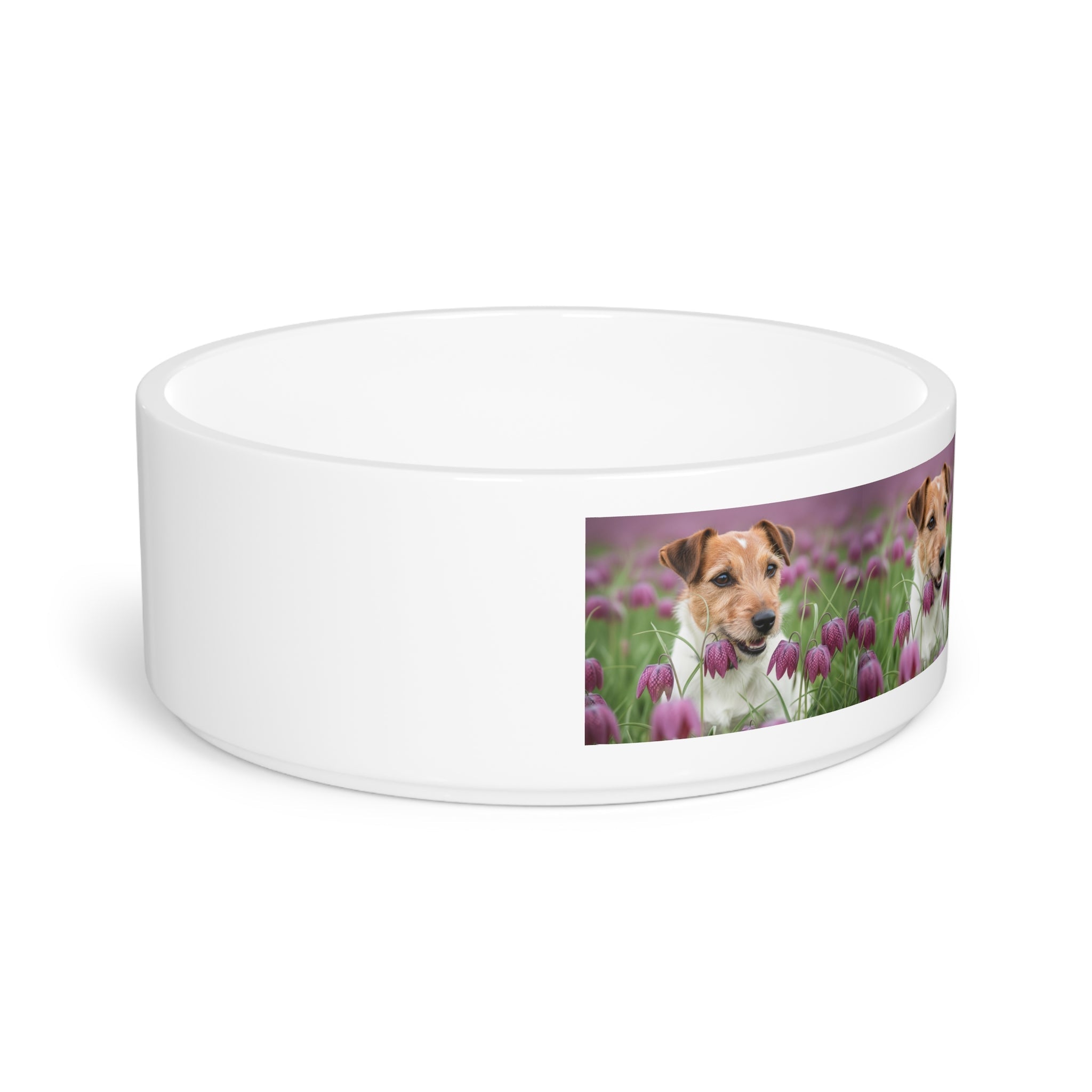 Ceramic Pet Bowl – 16 oz Dog Feeding Bowl