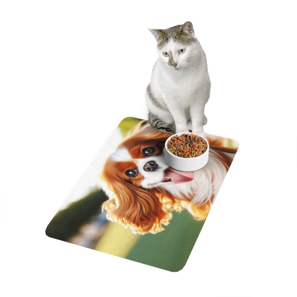 Non-Slip Pet Food Mat – Waterproof Feeding Mat for Dogs