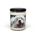 Soy Candle – Scented Jar Candle