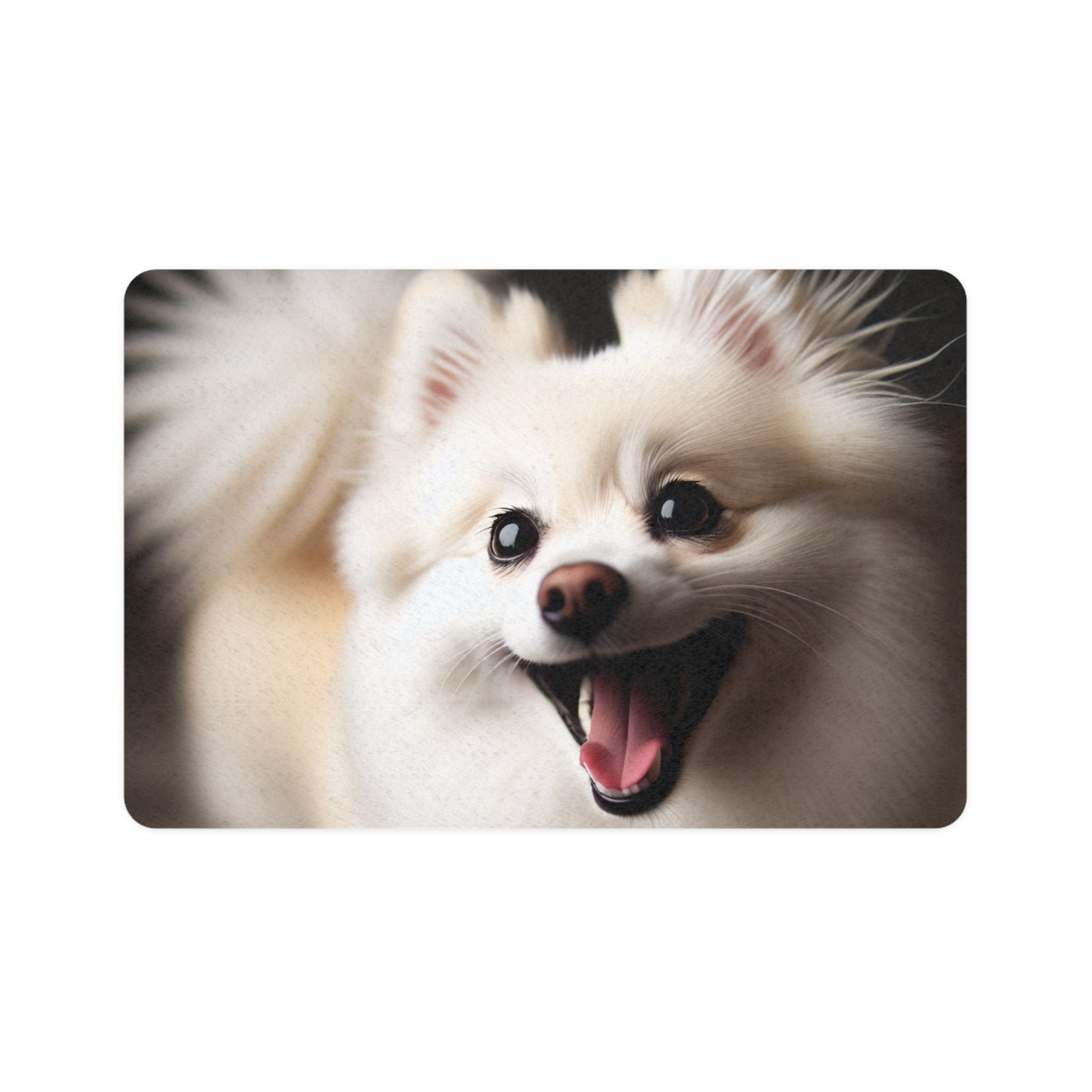 Non-Slip Pet Food Mat – Waterproof Feeding Mat for Dogs