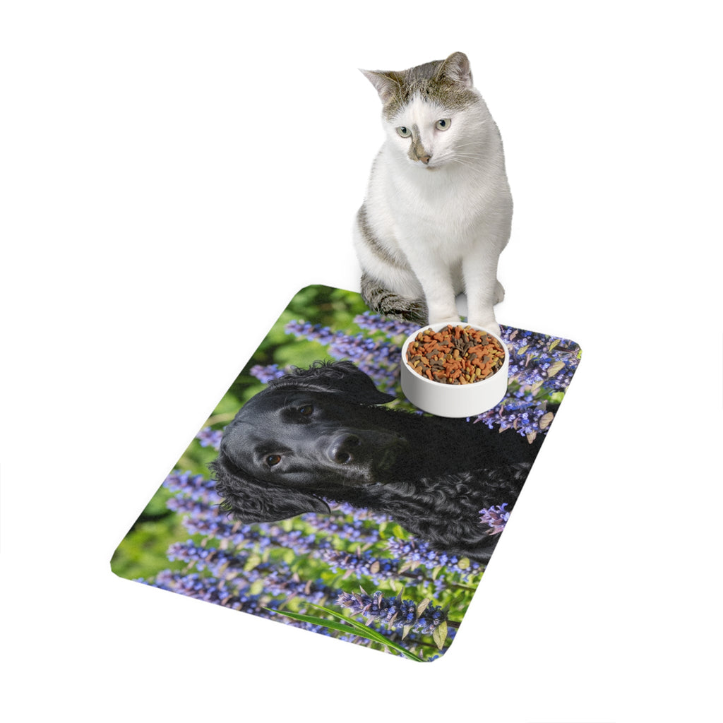 Non-Slip Pet Food Mat – Waterproof Feeding Mat for Dogs
