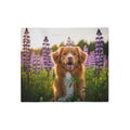 Sweatshirt Blanket – Plush Fleece Throw, 2 Size Options