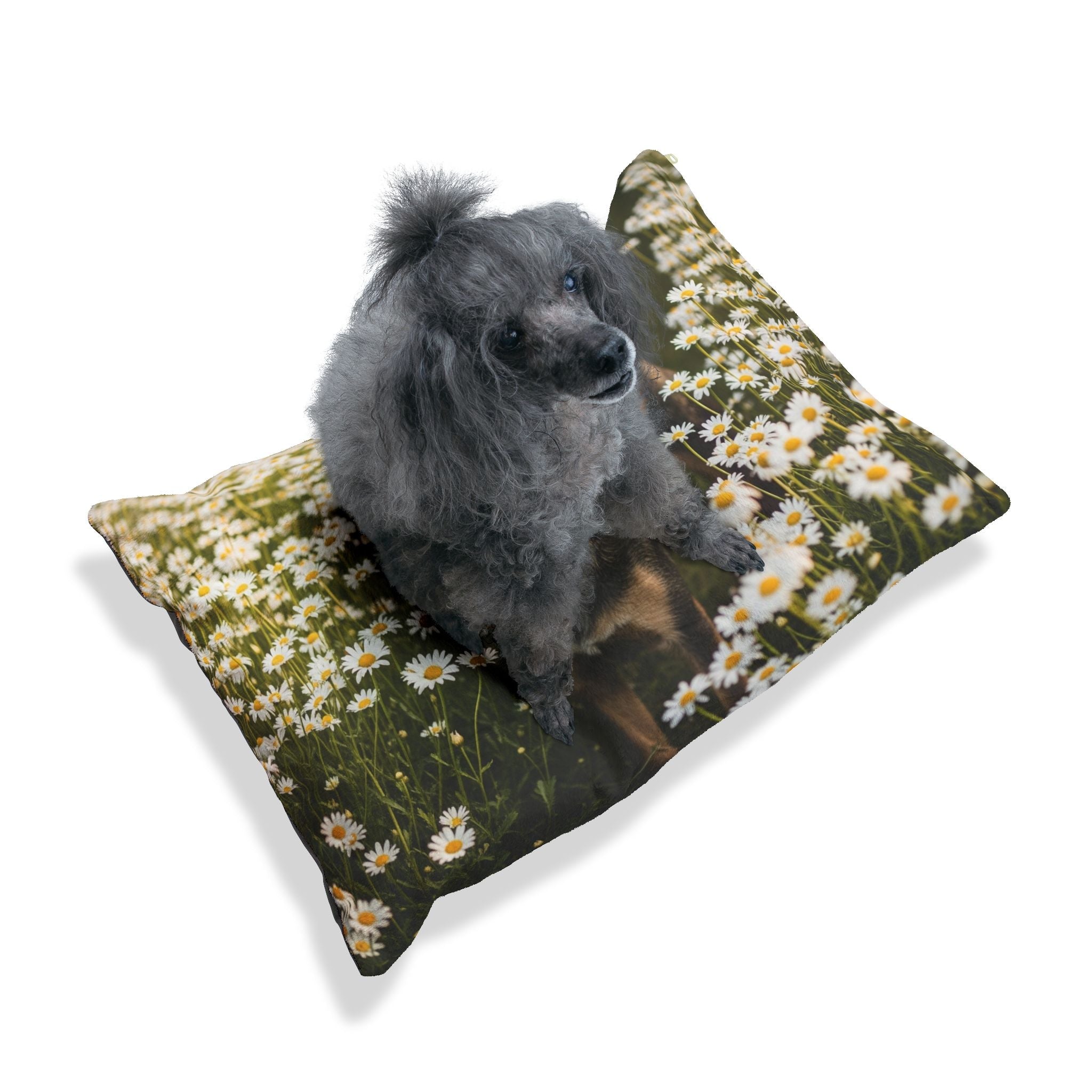 Pet Bed – Plush Dog Bed, 3 Size Options