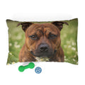 Pet Bed – Plush Dog Bed, 3 Size Options