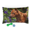 Pet Bed – Plush Dog Bed, 3 Size Options