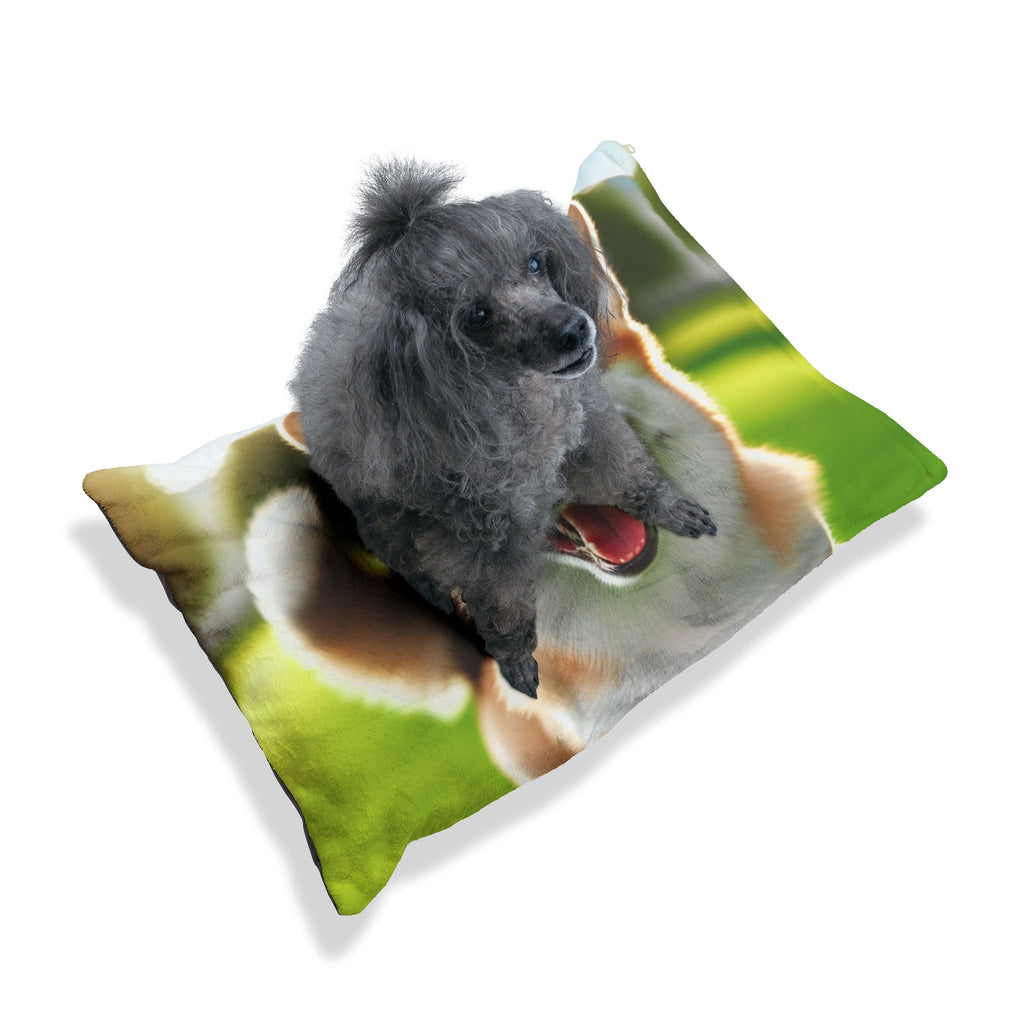 Pet Bed – Plush Dog Bed, 3 Size Options