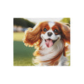 Sweatshirt Blanket – Plush Fleece Throw, 2 Size Options