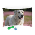 Pet Bed – Plush Dog Bed, 3 Size Options
