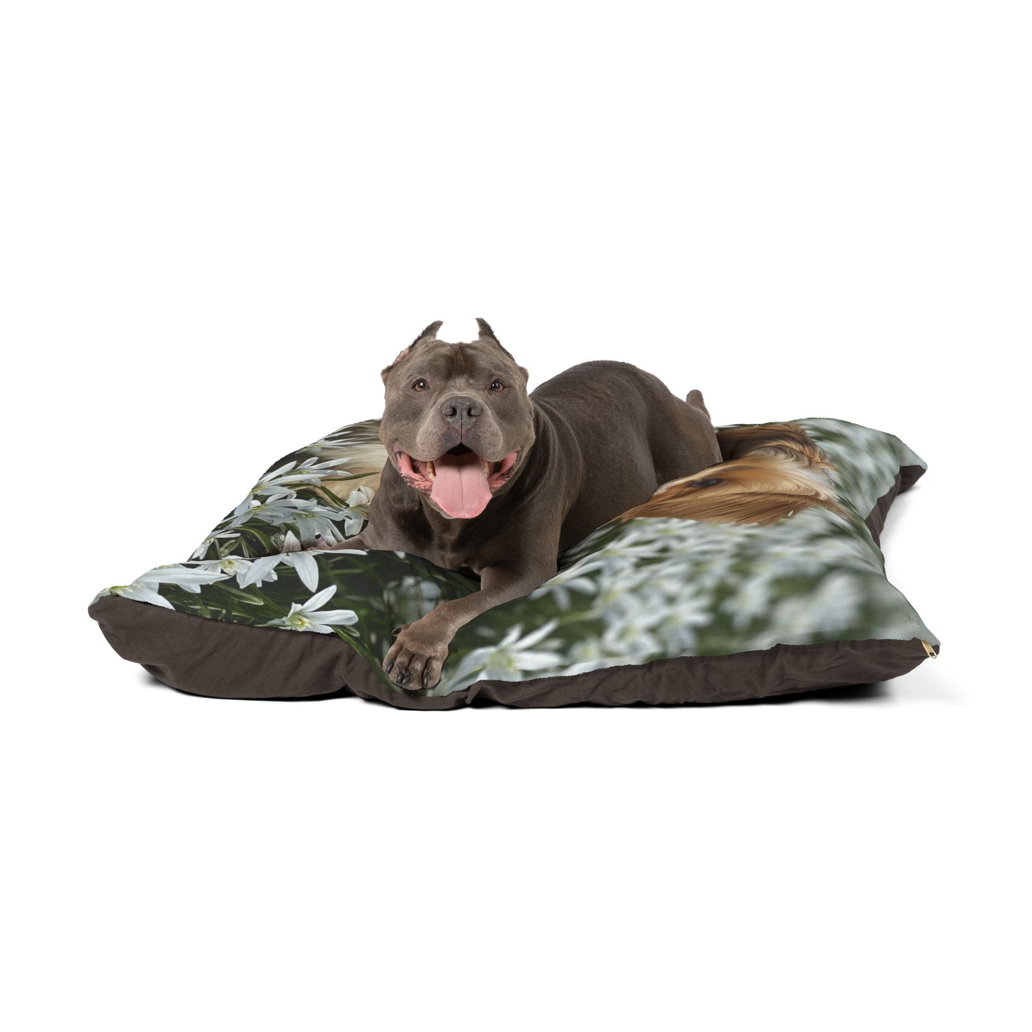 Pet Bed – Plush Dog Bed, 3 Size Options
