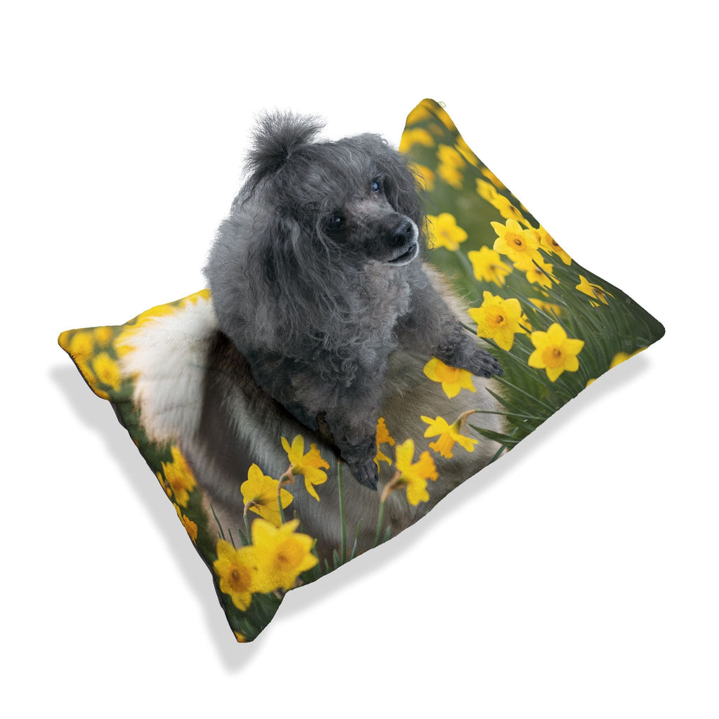 Pet Bed – Plush Dog Bed, 3 Size Options