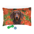 Pet Bed – Plush Dog Bed, 3 Size Options