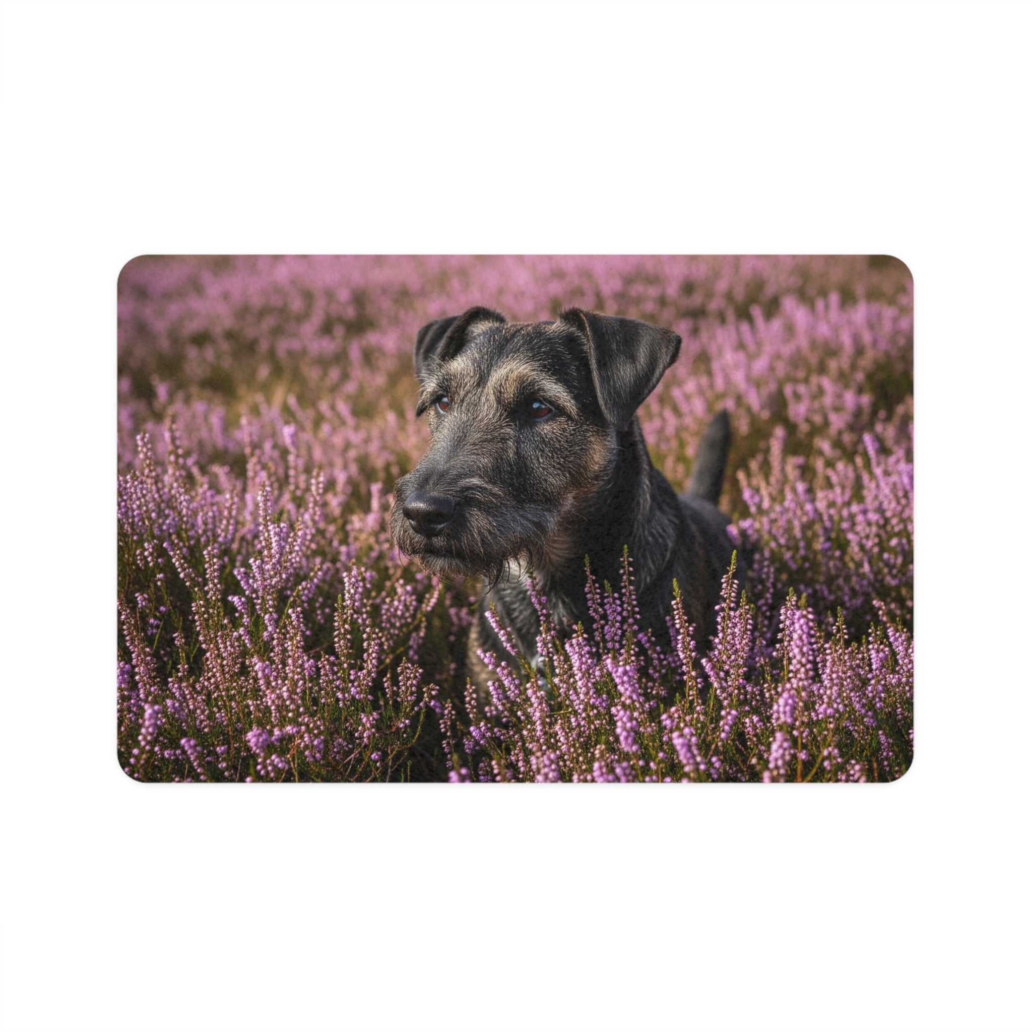 Non-Slip Pet Food Mat – Waterproof Feeding Mat for Dogs