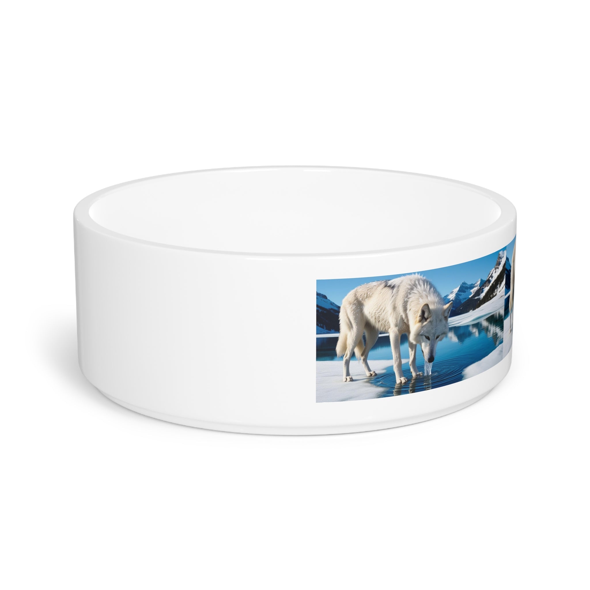 Ceramic Pet Bowl – 16 oz Dog Feeding Bowl