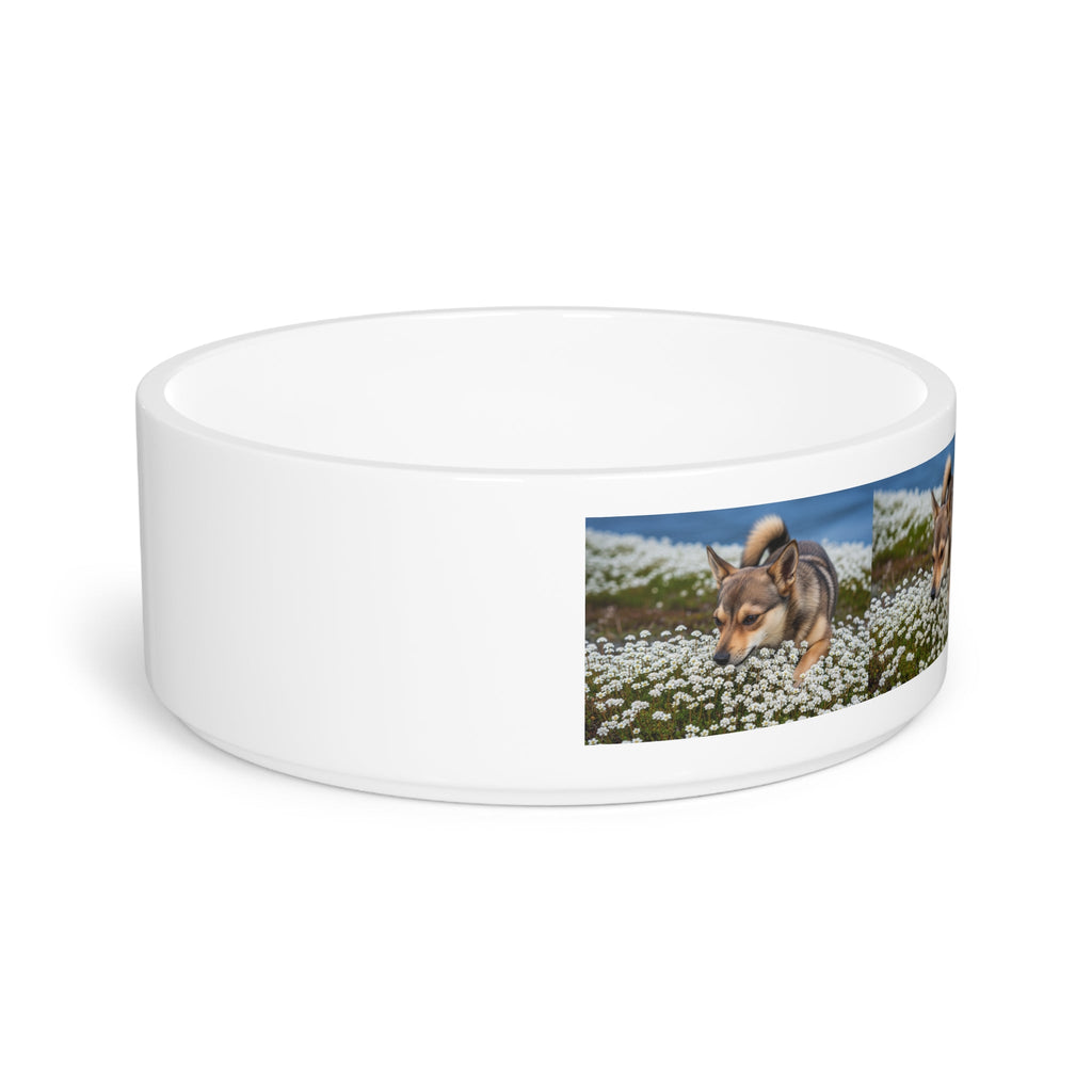 Ceramic Pet Bowl – 16 oz Dog Feeding Bowl
