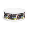 Ceramic Pet Bowl – 16 oz Dog Feeding Bowl