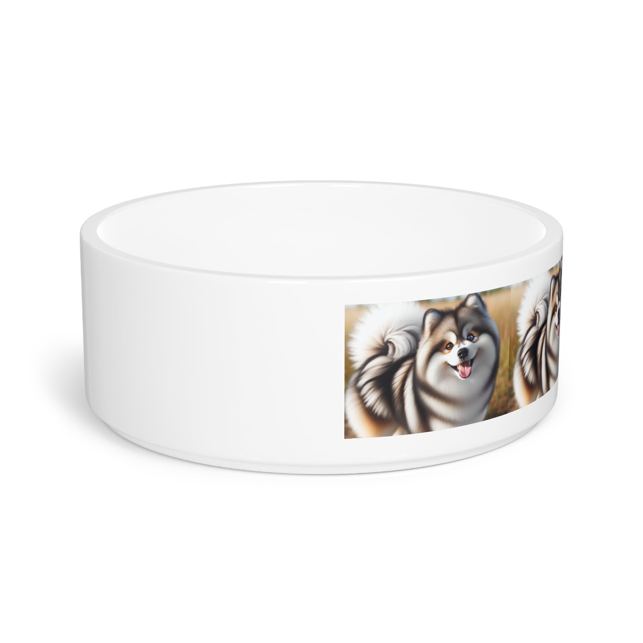 Ceramic Pet Bowl – 16 oz Dog Feeding Bowl