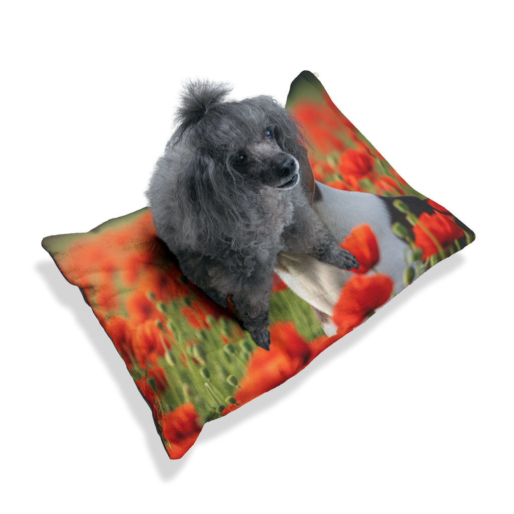 Pet Bed – Plush Dog Bed, 3 Size Options