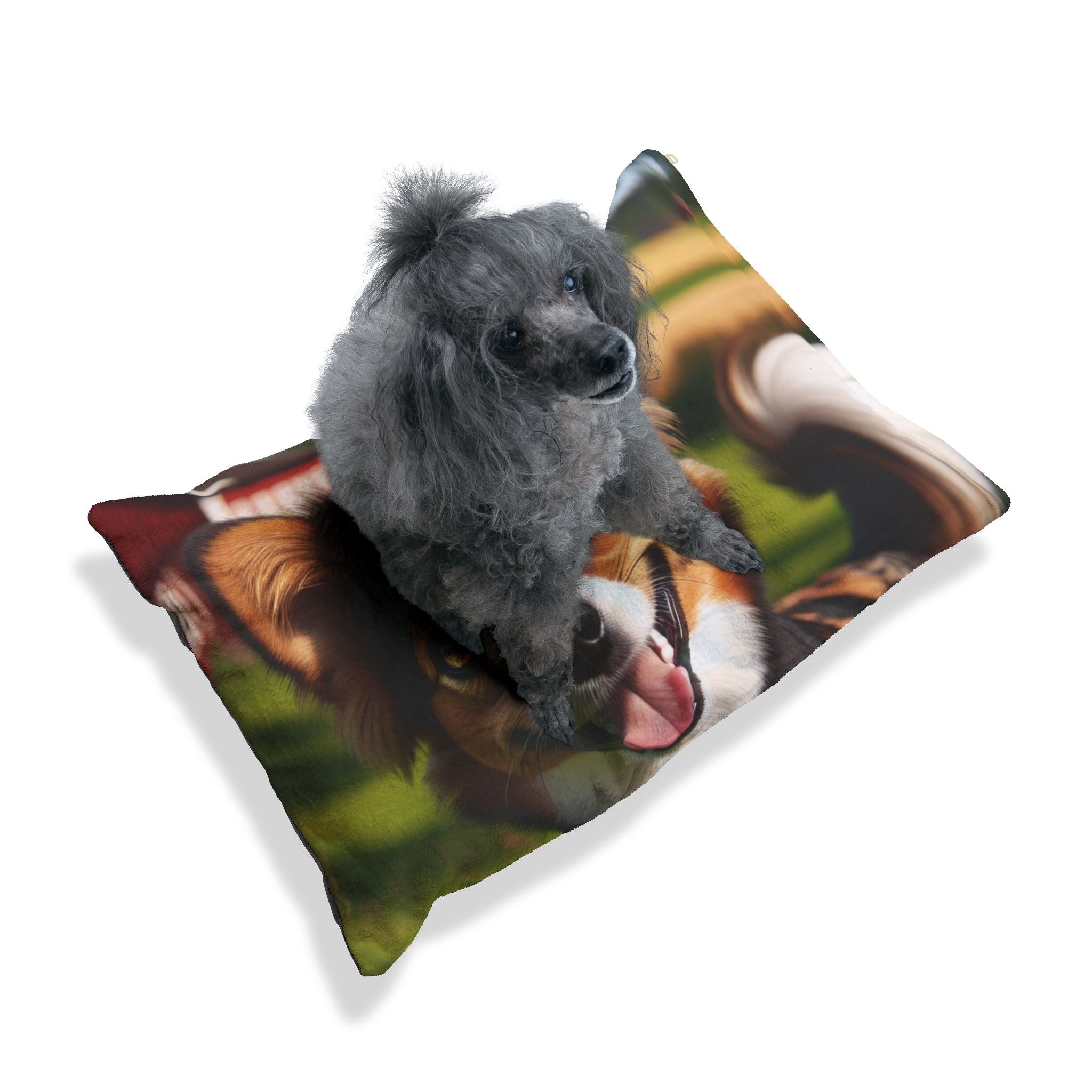 Pet Bed – Plush Dog Bed, 3 Size Options