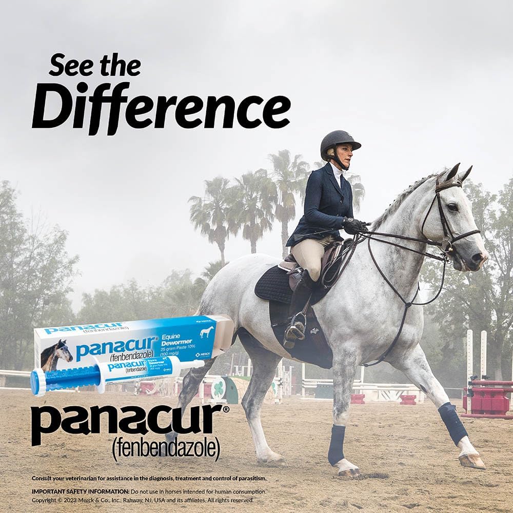 Panacur Equine Dewormer Paste 10% Fenbendazole – 3-Pack | Apple-Cinnamon