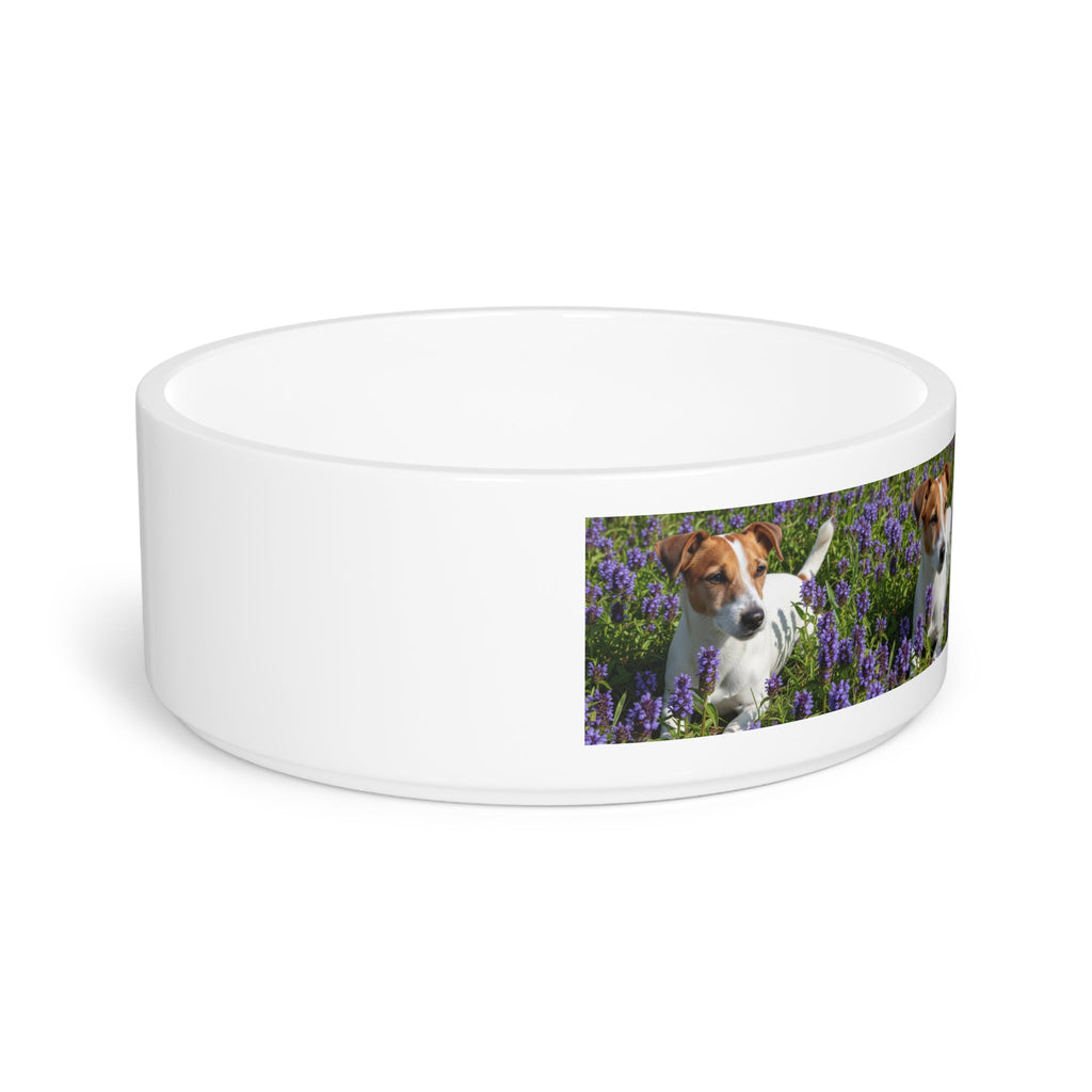 Ceramic Pet Bowl – 16 oz Dog Feeding Bowl