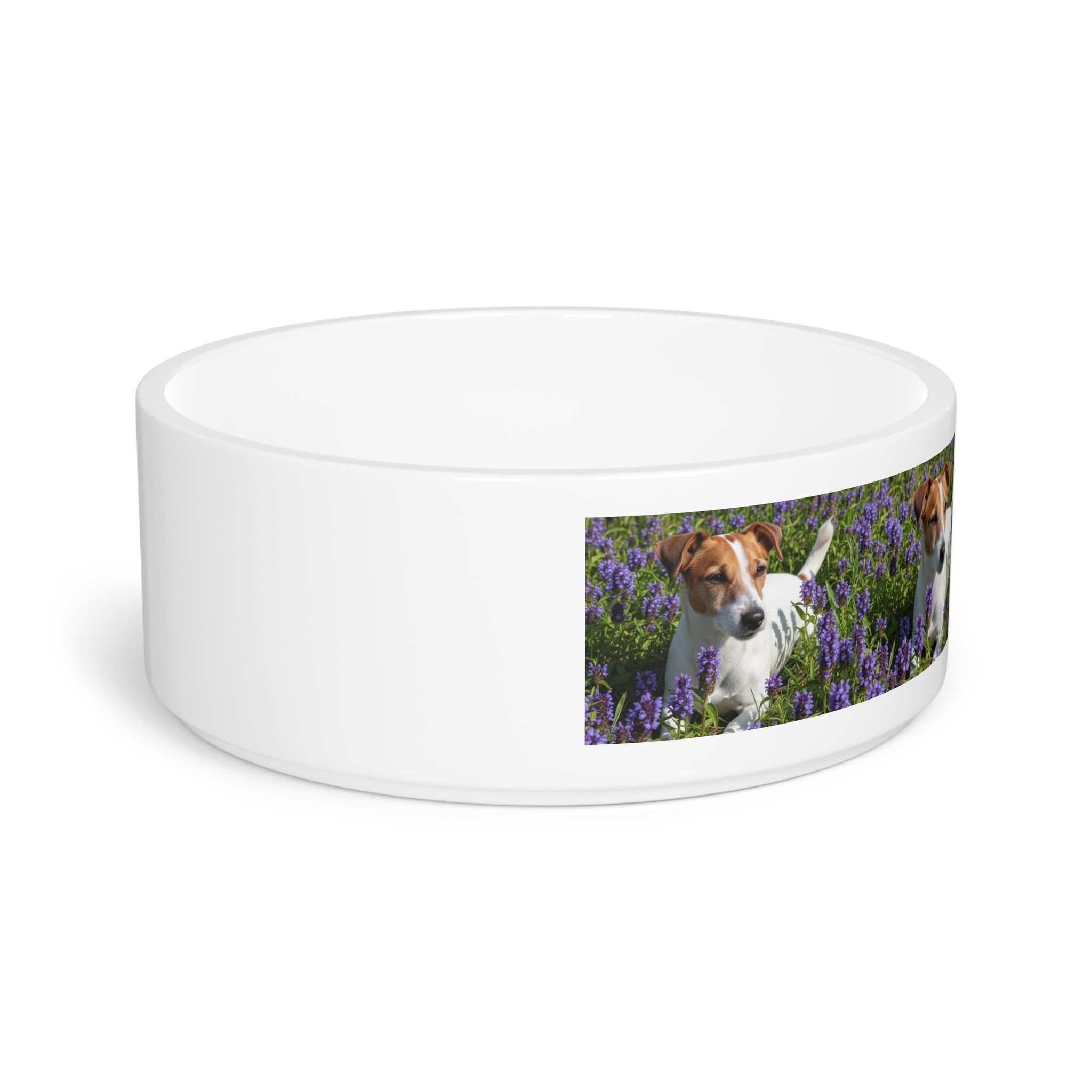 Ceramic Pet Bowl – 16 oz Dog Feeding Bowl
