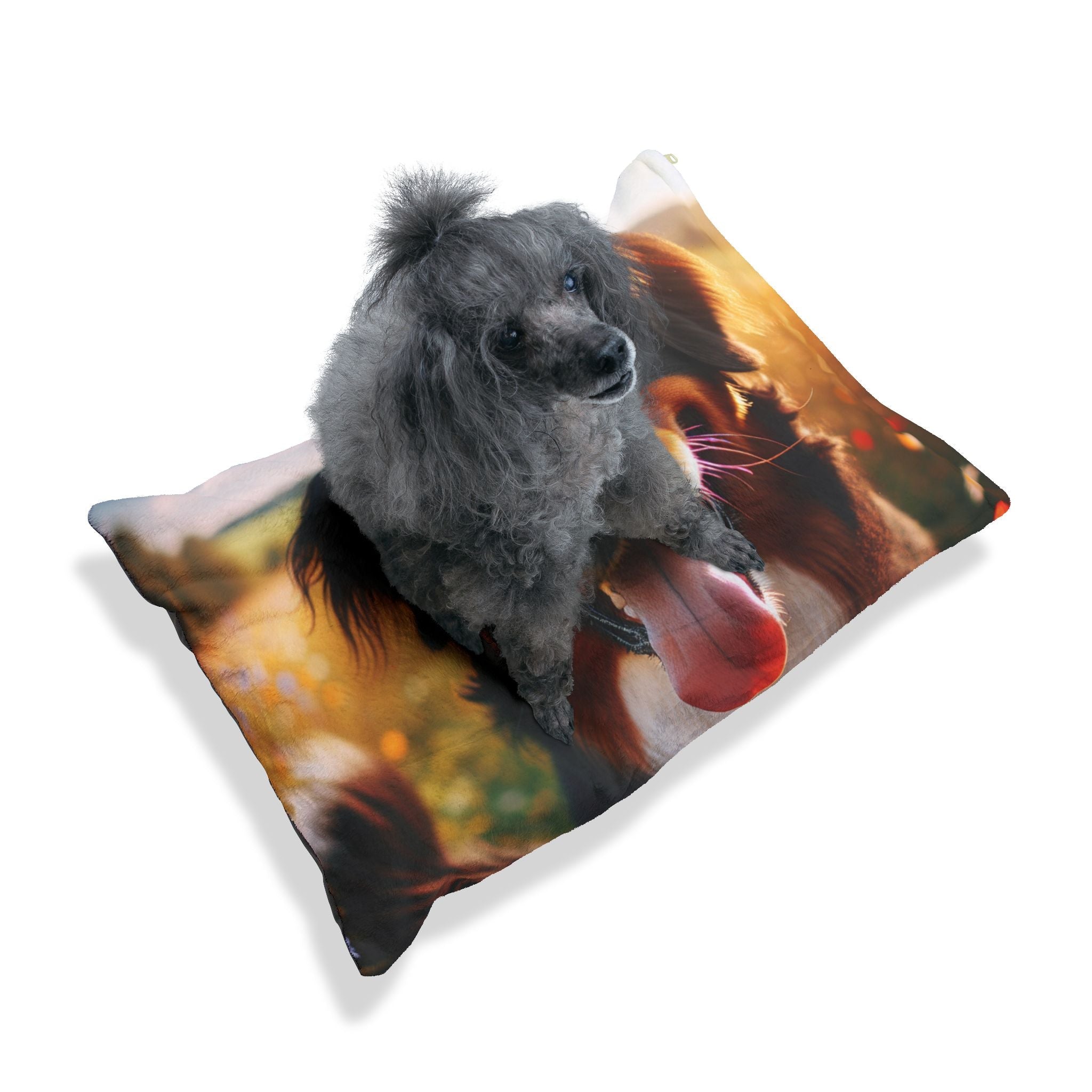 Pet Bed – Plush Dog Bed, 3 Size Options