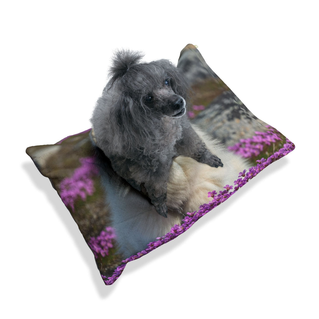 Pet Bed – Plush Dog Bed, 3 Size Options