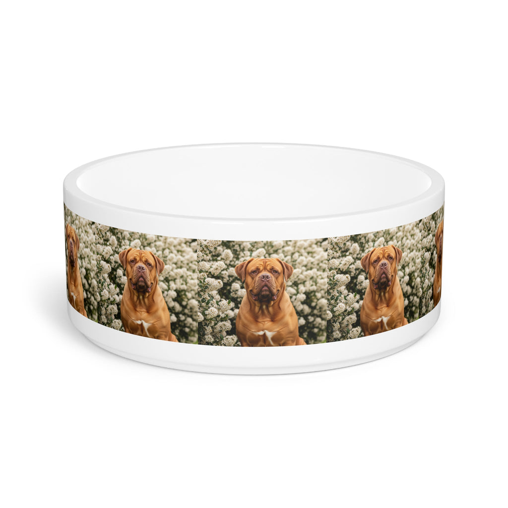 Ceramic Pet Bowl – 16 oz Dog Feeding Bowl
