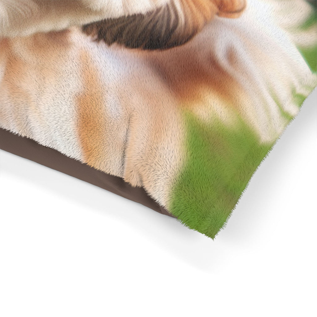 Pet Bed – Plush Dog Bed, 3 Size Options