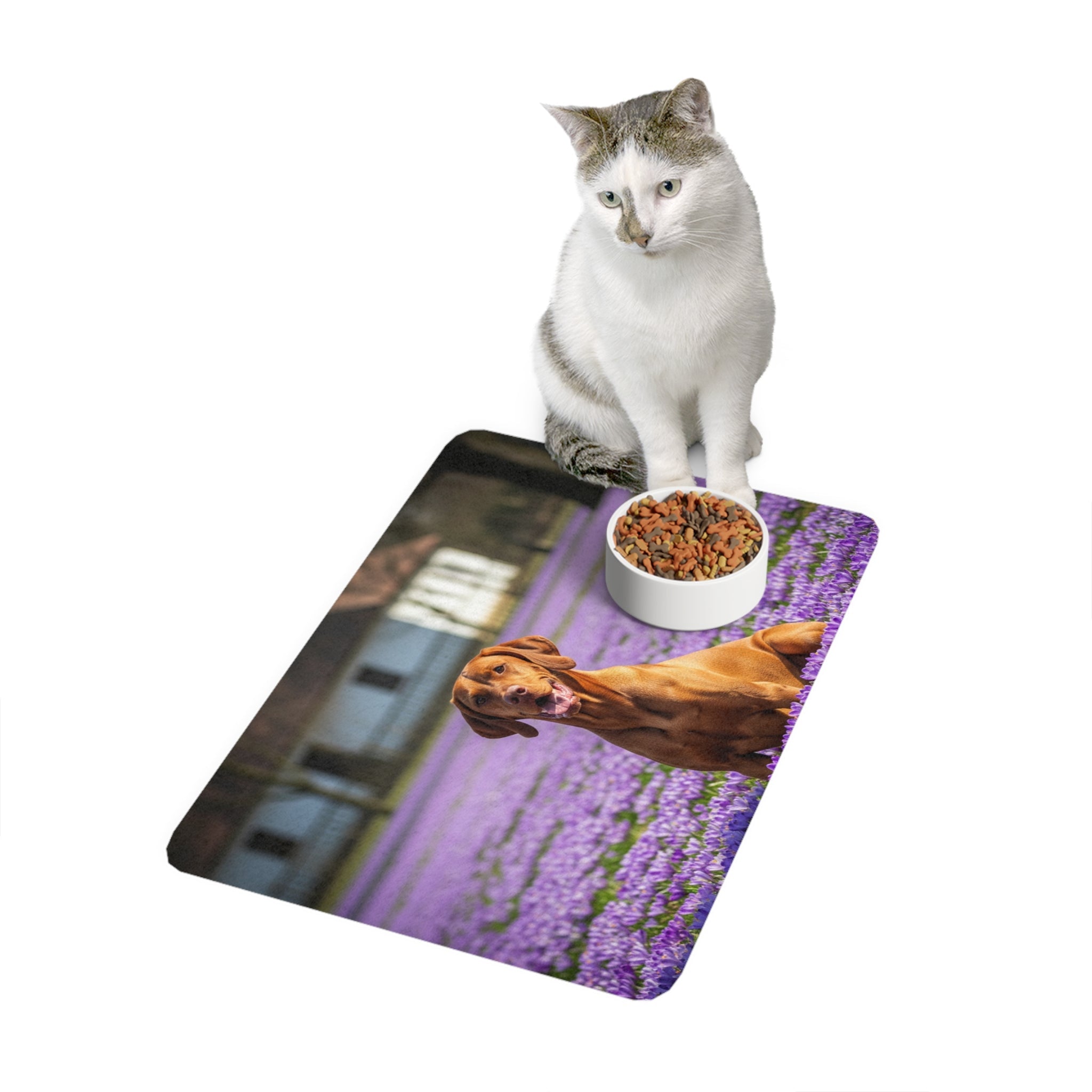 Non-Slip Pet Food Mat – Waterproof Feeding Mat for Dogs