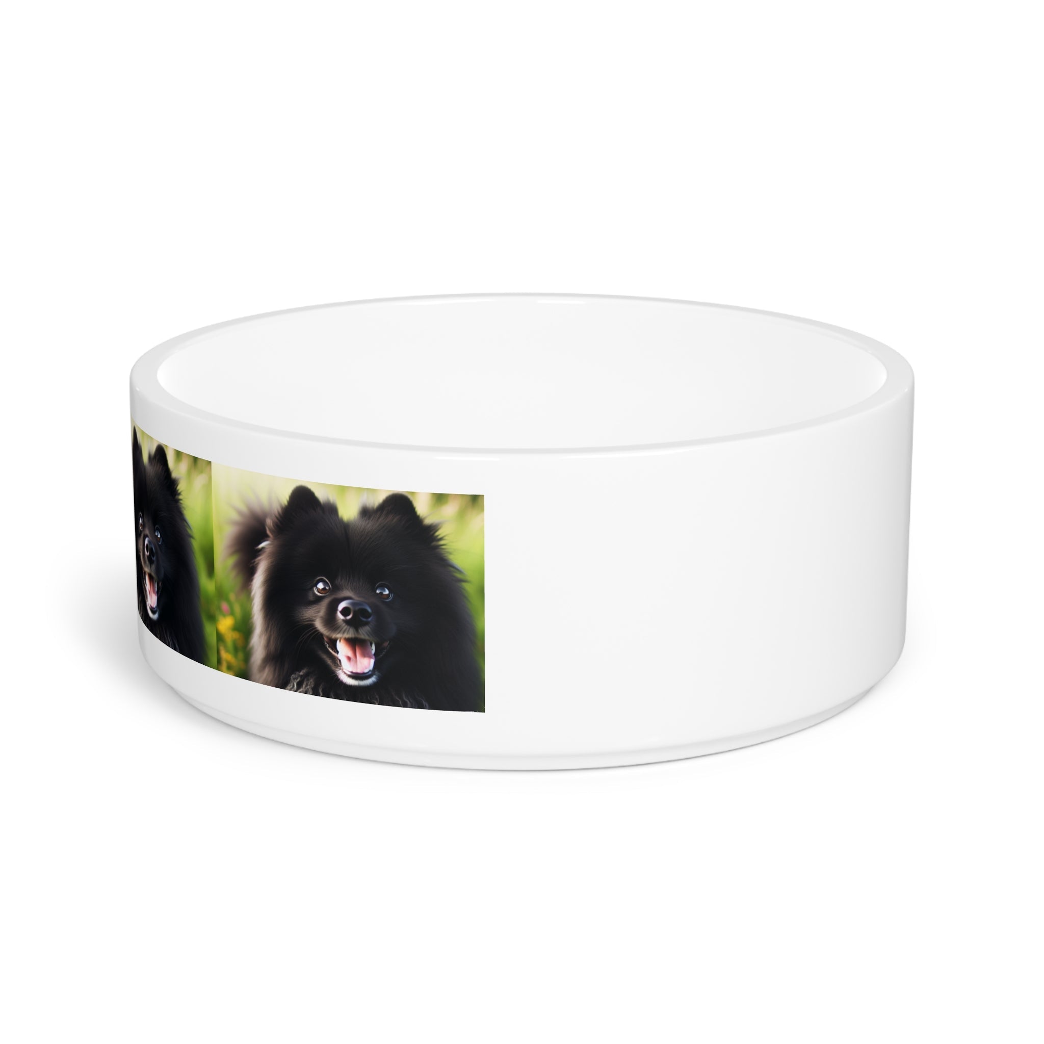 Ceramic Pet Bowl – 16 oz Dog Feeding Bowl