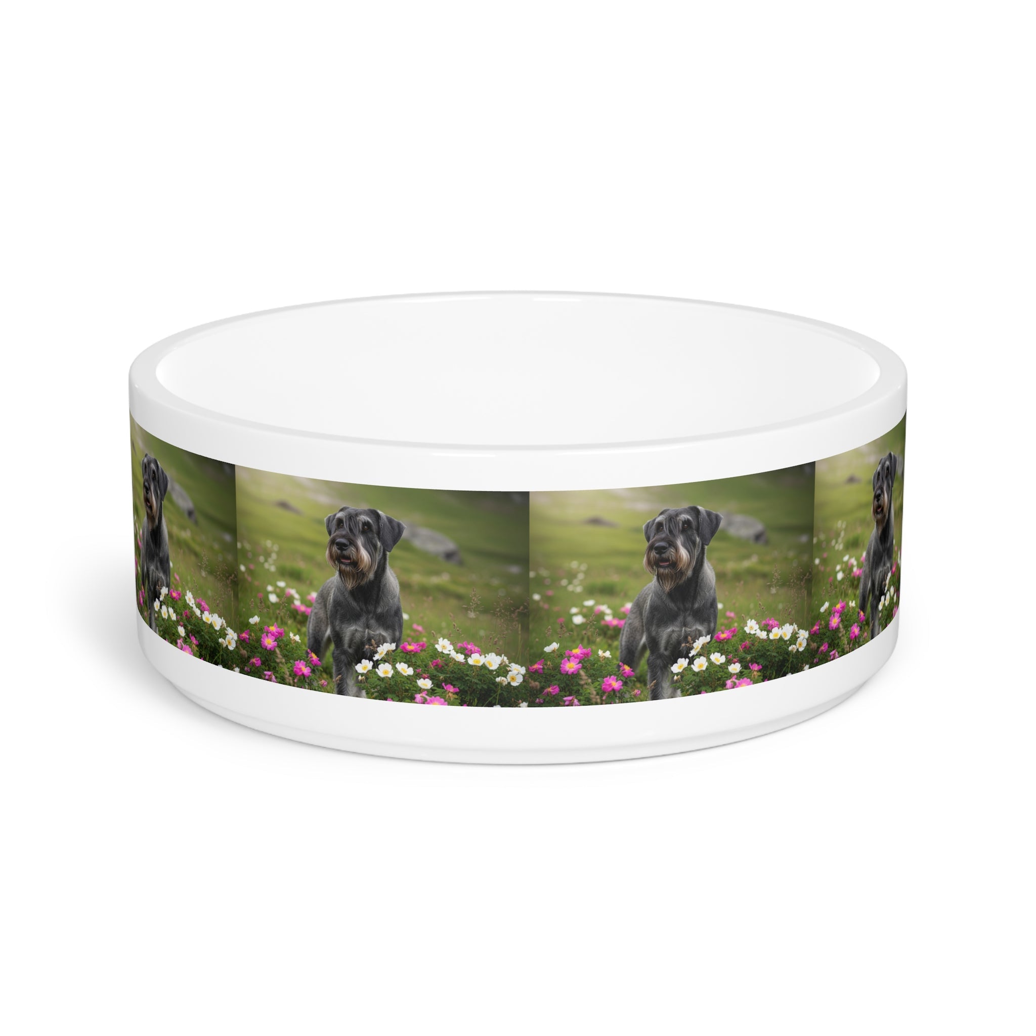 Ceramic Pet Bowl – 16 oz Dog Feeding Bowl