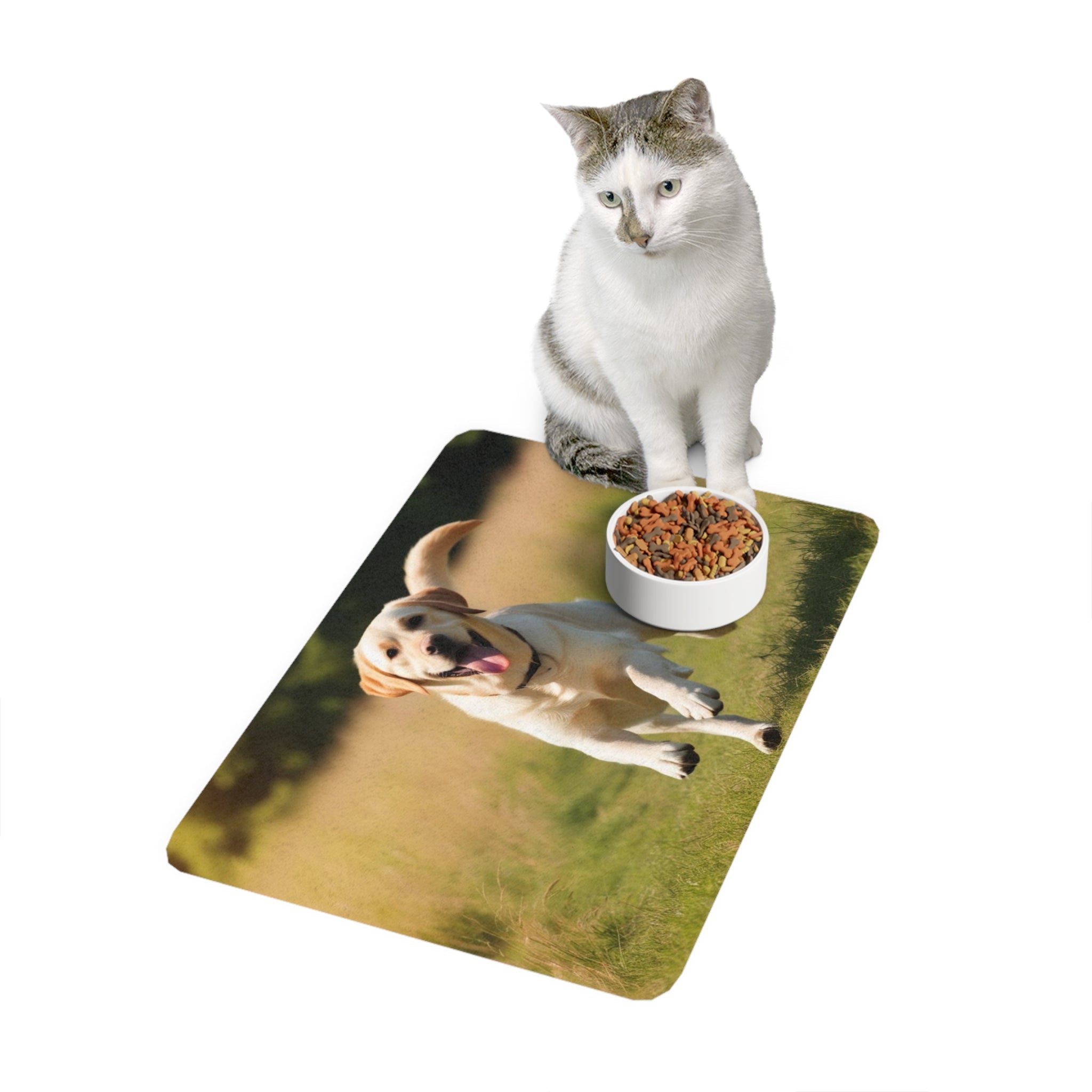 Non-Slip Pet Food Mat – Waterproof Feeding Mat for Dogs