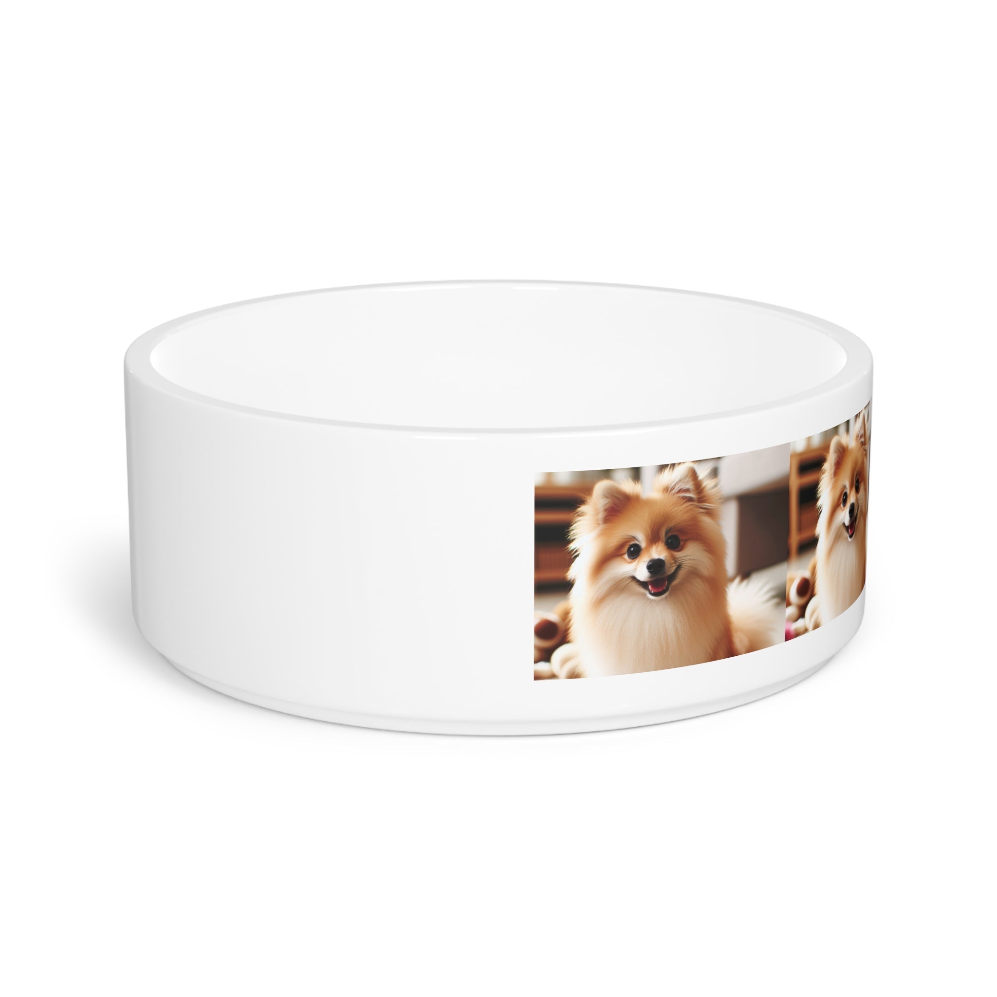 Ceramic Pet Bowl – 16 oz Dog Feeding Bowl
