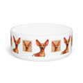 Ceramic Pet Bowl – 16 oz Dog Feeding Bowl
